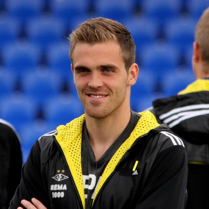 Brede Moe