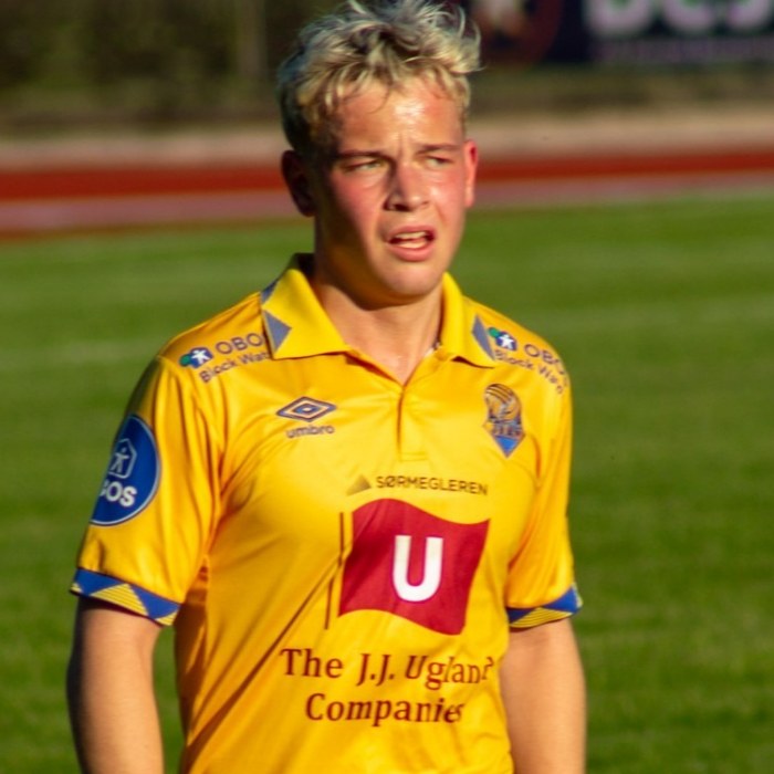 Sondre Auklend