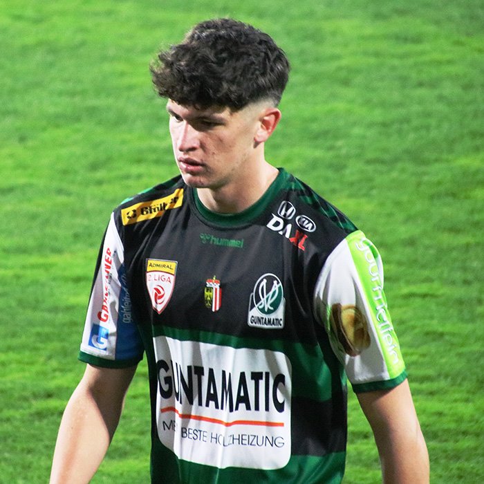 Arjan Malić