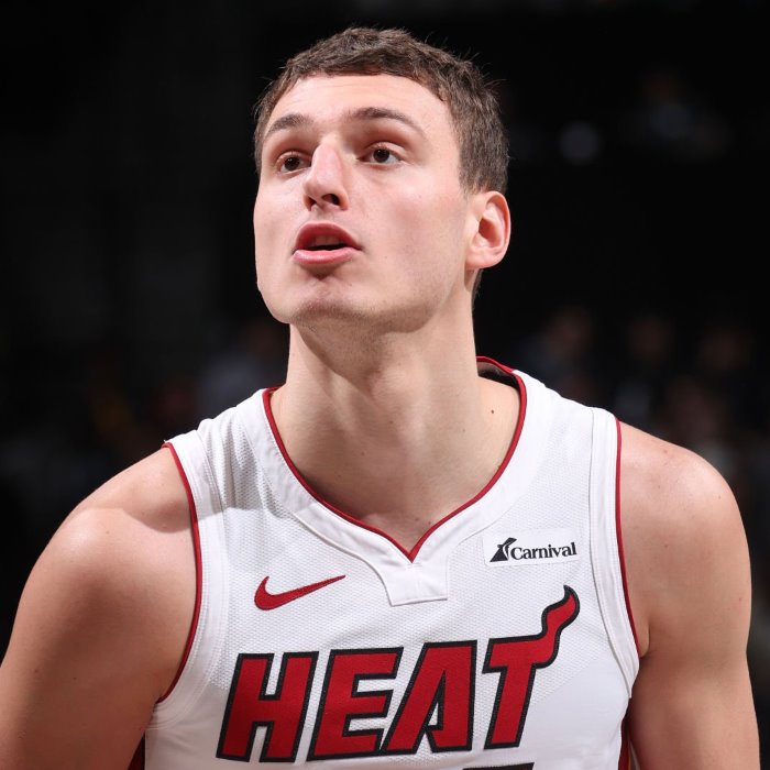 Nikola Jović