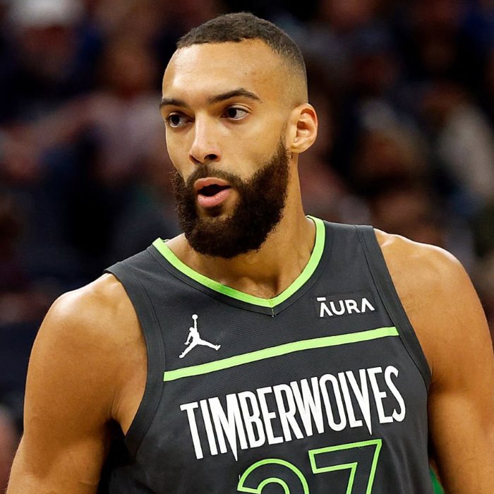 Rudy Gobert