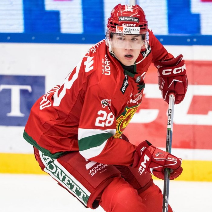 Michael Brandsegg-Nygård