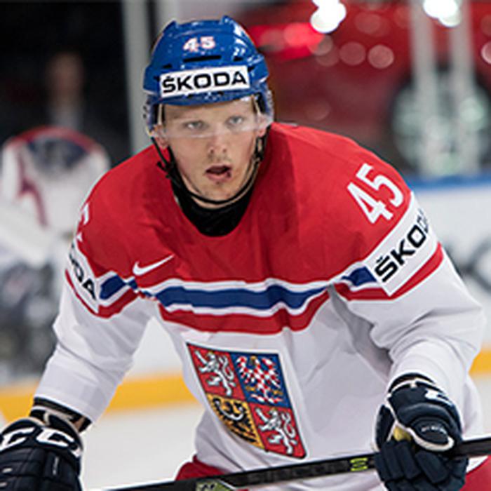Radim Simek
