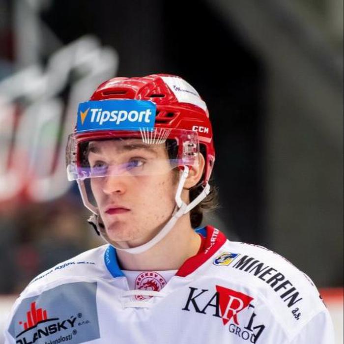Jan Hladonik