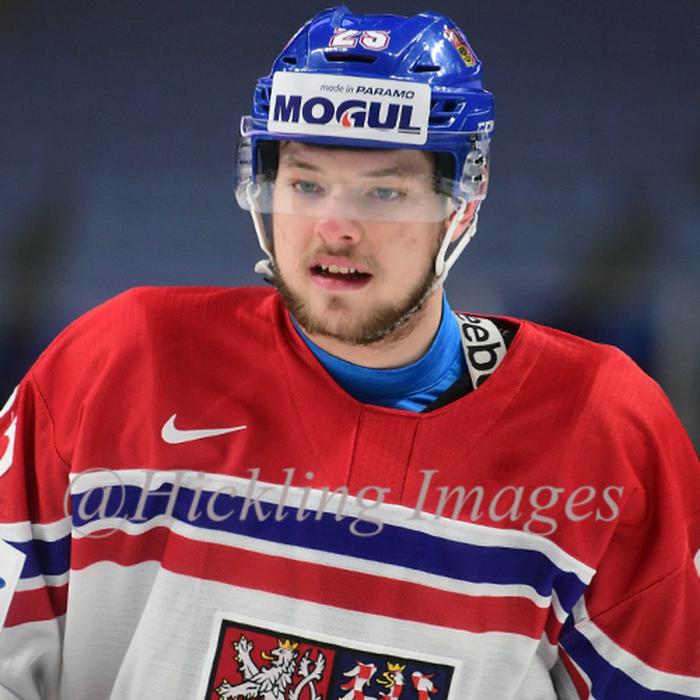 Radovan Pavlik