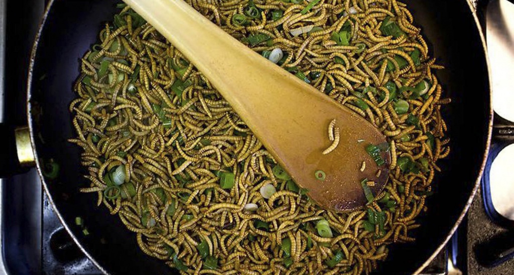 Еда с жучками. Как отличить продукты из насекомых?