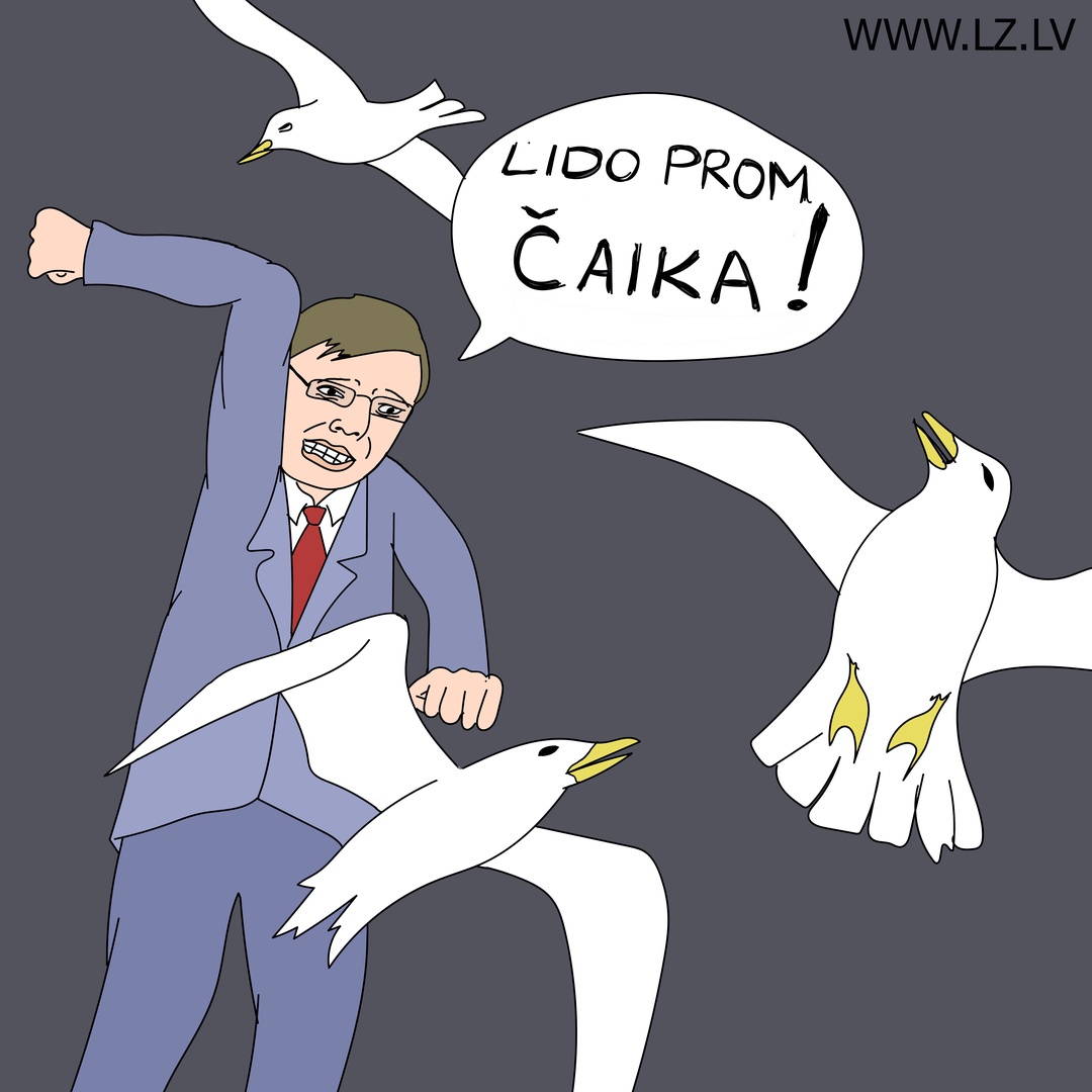 Чтобы Рига была "живой" и чистой - скажем "Нет" чайкам и салюту на Новый год Чтобы Рига была "живой" и чистой - скажем "Нет" чайкам и салюту на Новый год