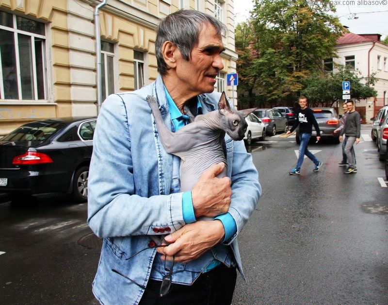 Алибасов и Федосеева-Шукшина разводятся