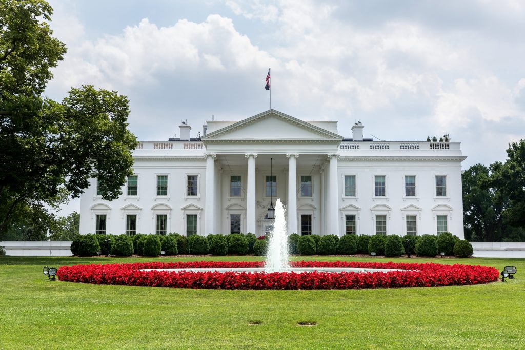 Задержана женщина, подозреваемая в отправке отравленного письма Трампу Задержана женщина, подозреваемая в отправке отравленного письма Трампу
