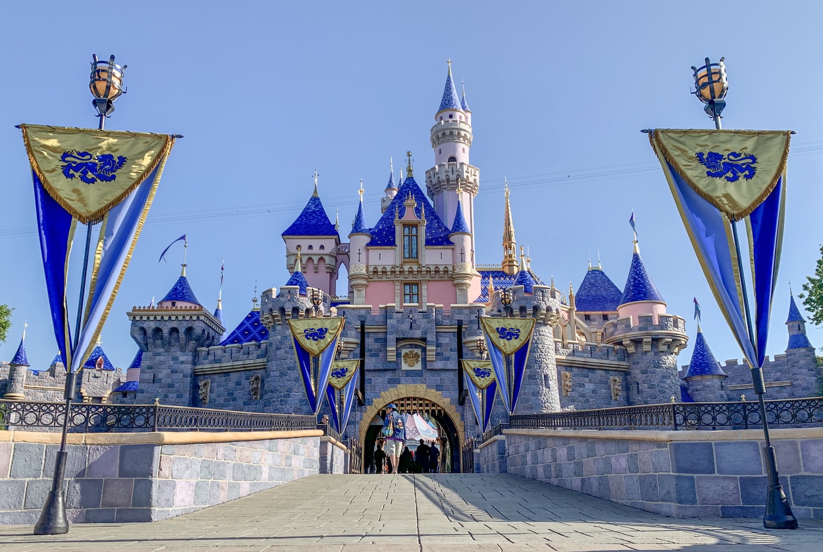 Руководство Disney Parks умоляет разрешить открытие Диснейленда
