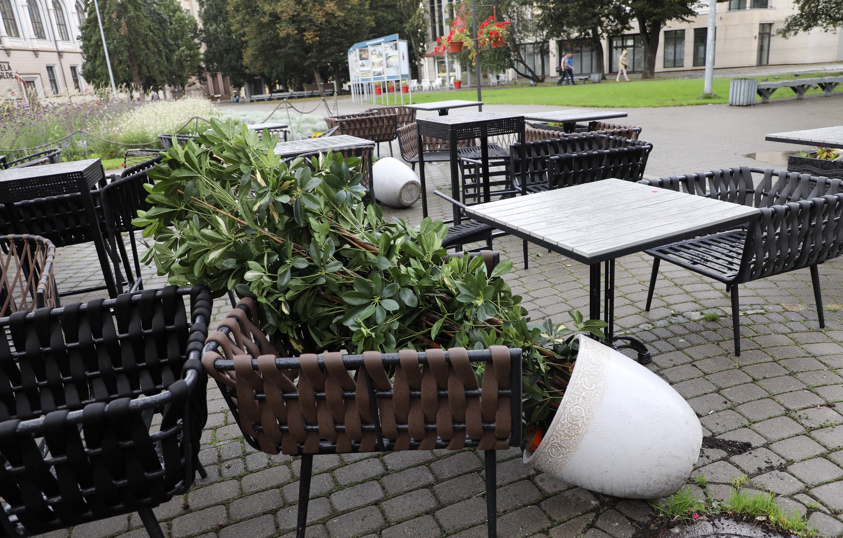 Буря не причинила значительного ущерба в Риге