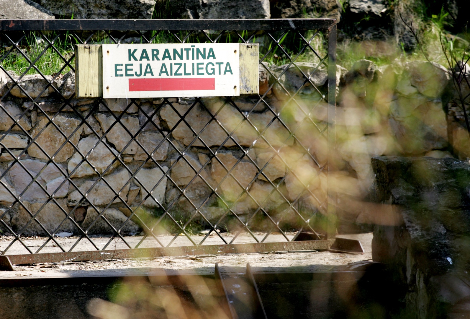 Mājas karantīna noteikta trim Daugavpils Valsts ģimnāzijas klasēm Mājas karantīna noteikta trim Daugavpils Valsts ģimnāzijas klasēm