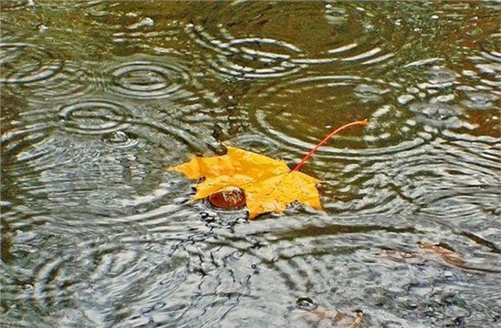 Во вторник возможны грозовые ливни