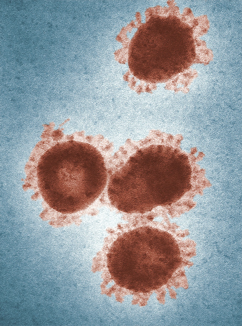 Nobela prēmija medicīnā piešķirta ASV un britu zinātniekiem par Hepatīta C atklāšanu