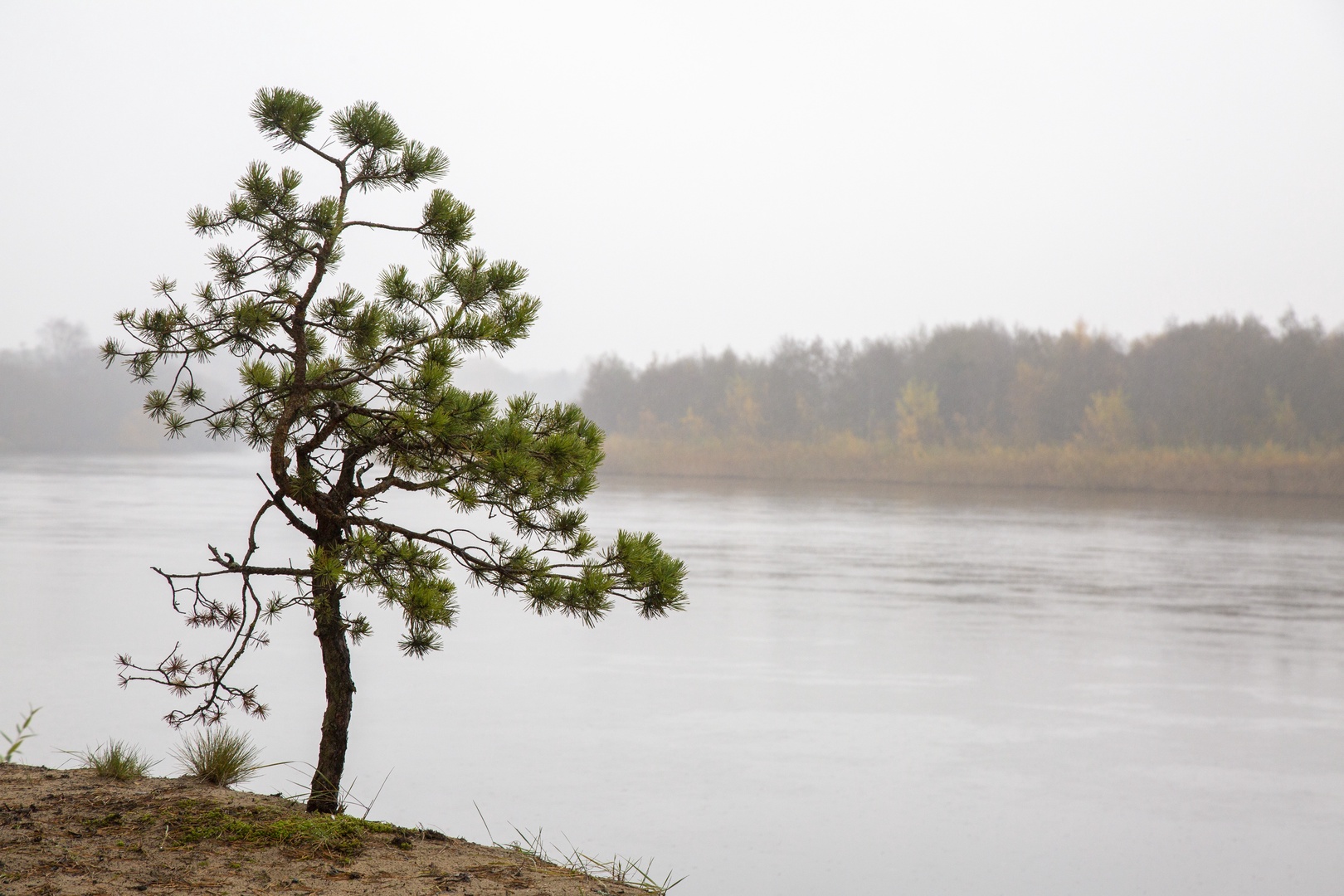 Во вторник станет немного теплее Во вторник станет немного теплее