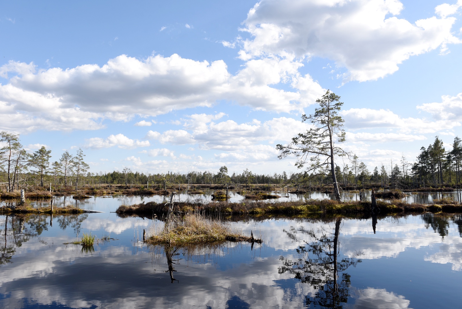 Ceturtdien gaisa temperatūra nepārsniegs +7 grādus