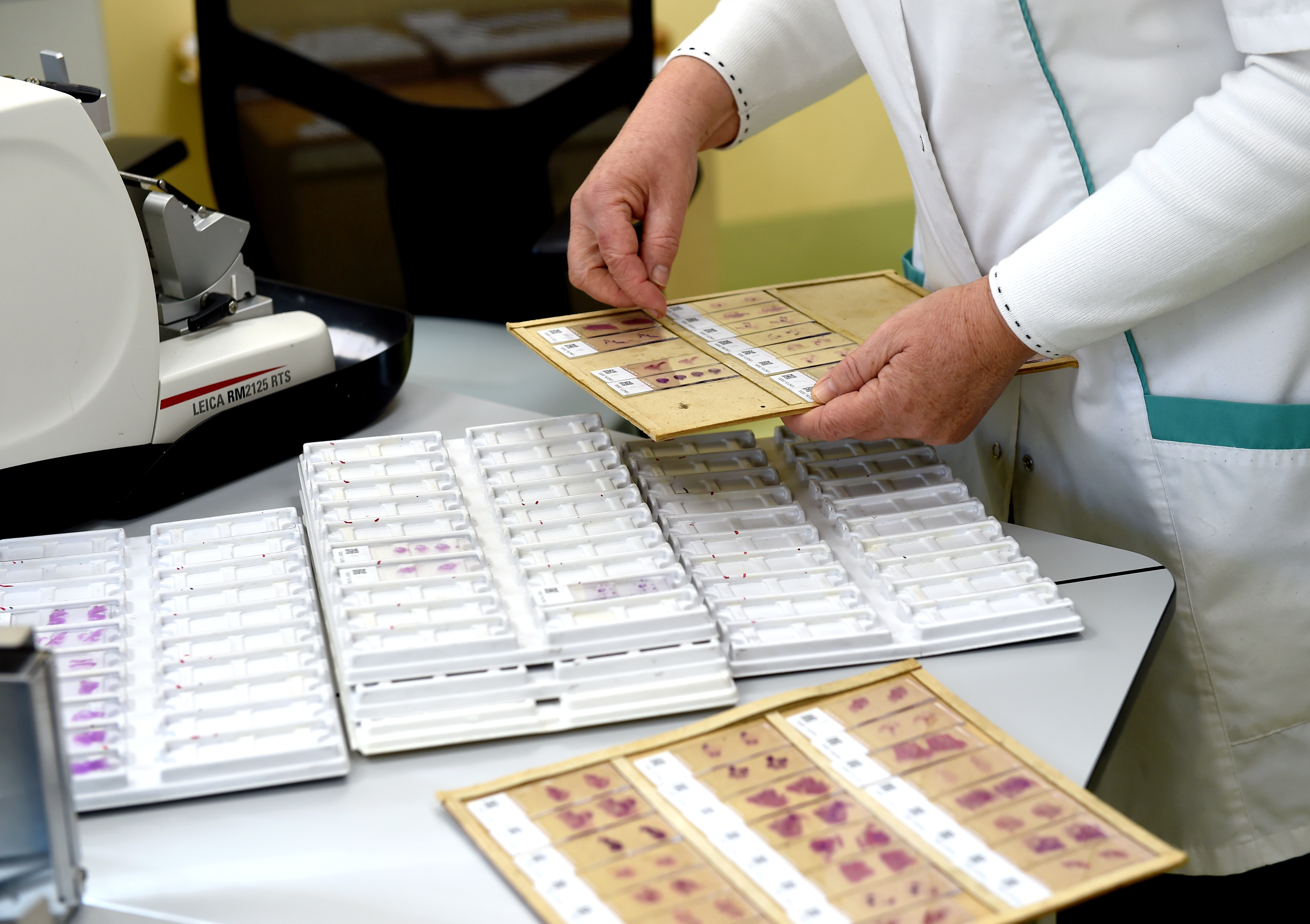 Ceturtdien Latvijā atklāti 477 Covid-19 gadījumi un ziņots par astoņu sasirgušo nāvi