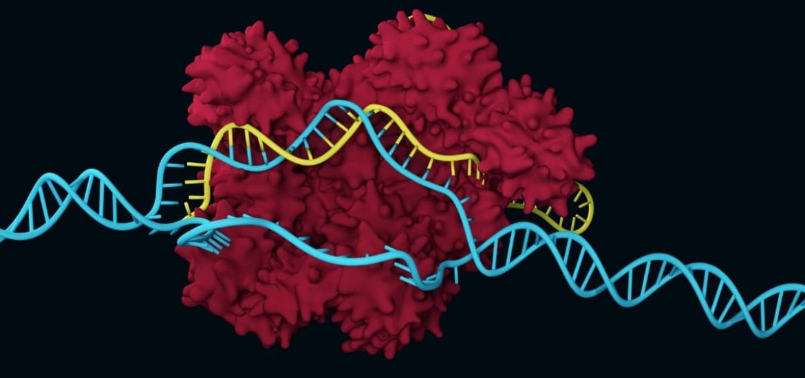Технология CRISPR-Cas для борьбы с изменением климата