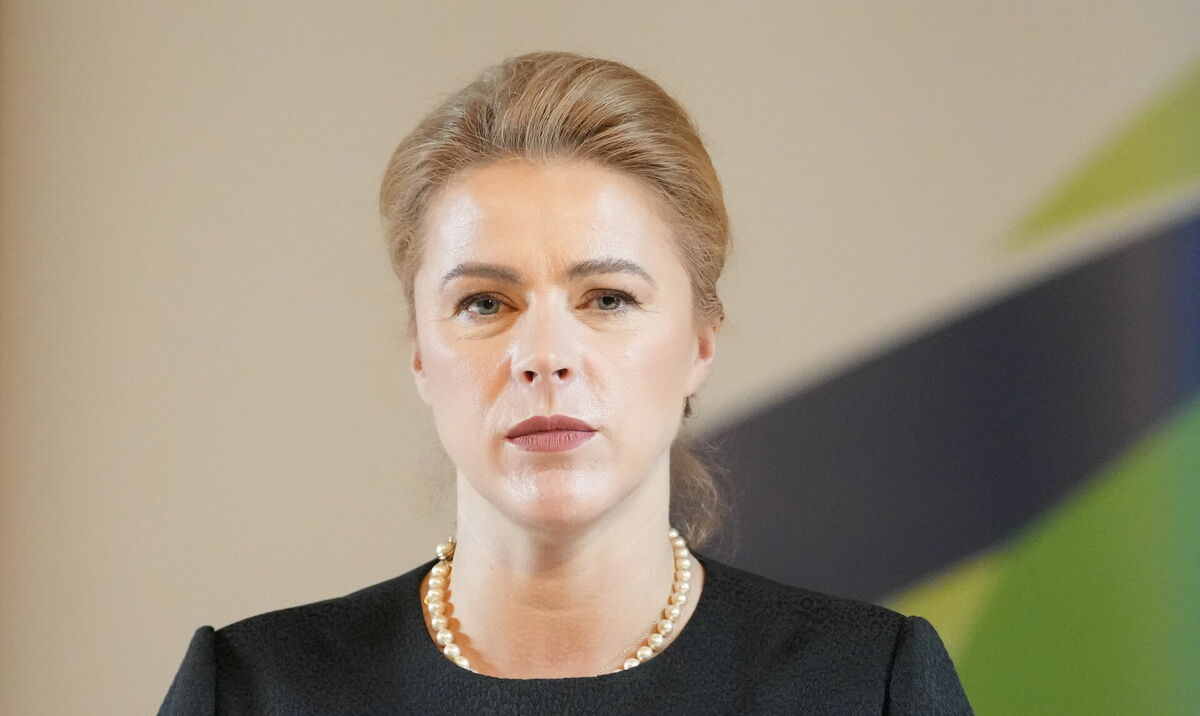 Силиня: любые переговоры о будущем Украины должны вестись с Украиной
