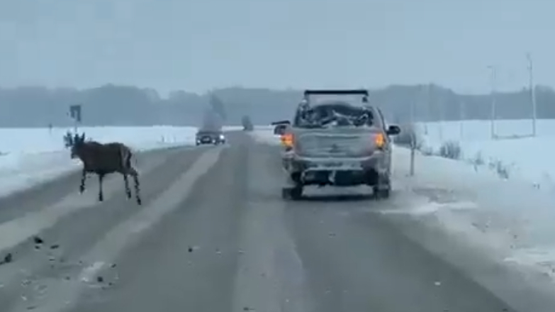 "Наказание не мягкое" "Наказание не мягкое"