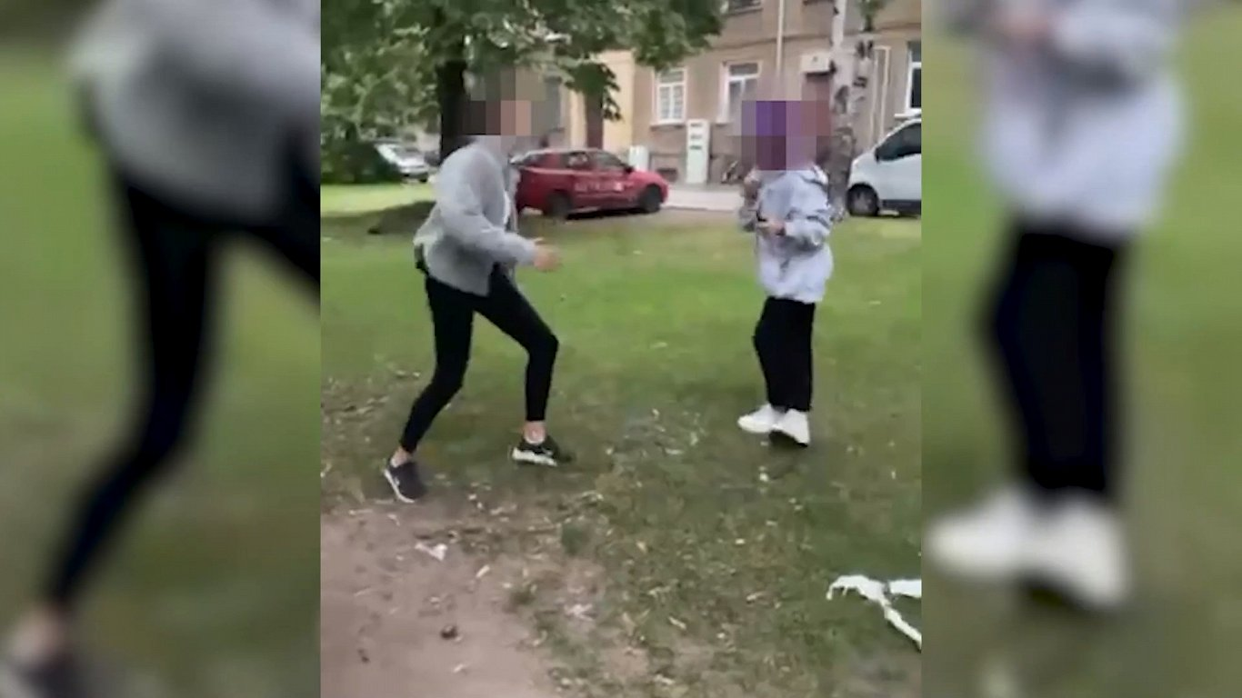 Избиение 12-летней девочки в Елгаве: нападавшей назначен пробационный надзор