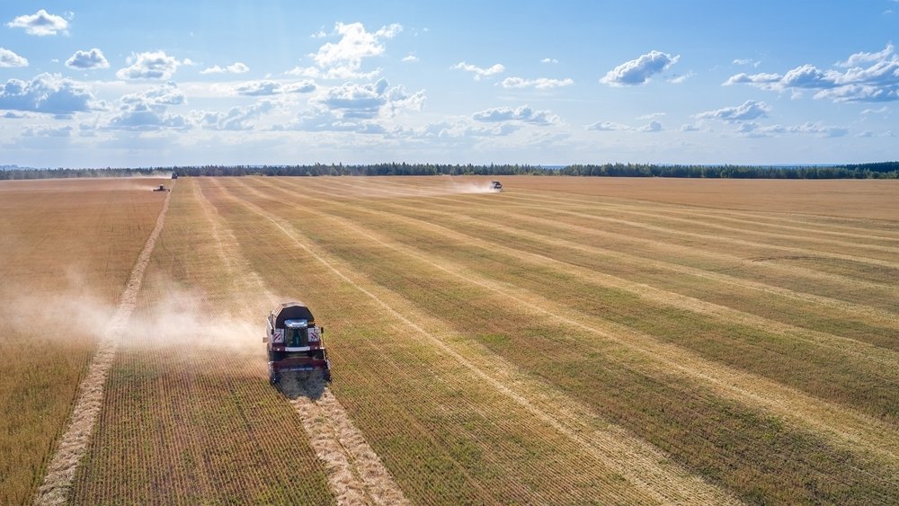 Цены на продукты питания значительно не вырастут