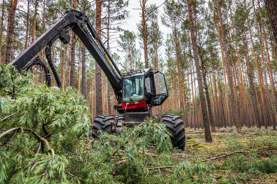 Недостаток рабочей силы - одна из главных проблем лесопереработки
