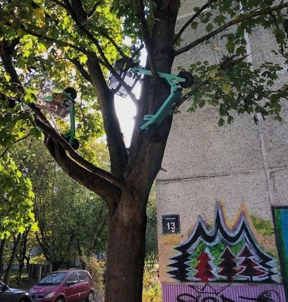 Самокаты припарковали на дереве
