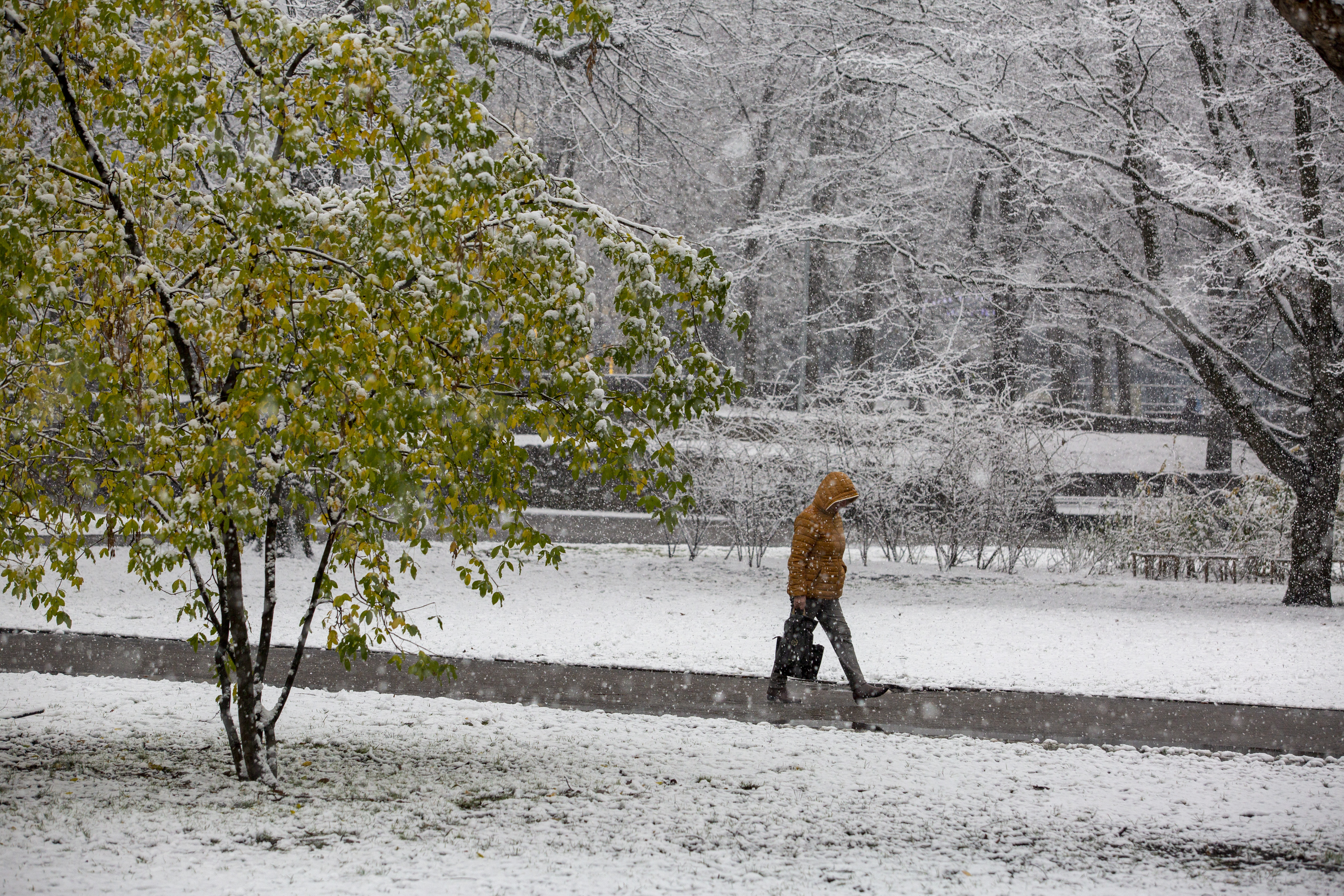 Ziemassvētkos un Jaungadā gaisa temperatūra svārstīsies ap nulli
