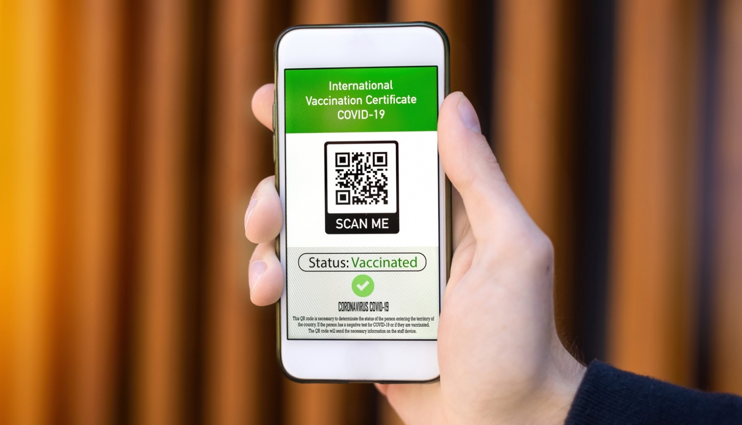 Журналист: в Латвии до 18000 фиктивных ковид-сертификатов