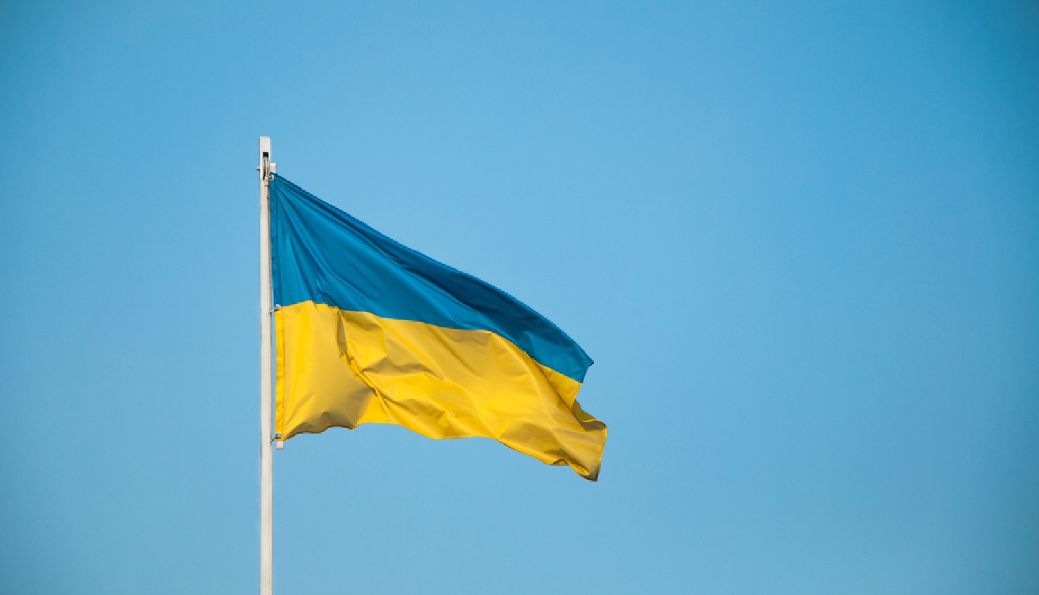 В Даугавпилсе протестующие попытались снять украинский флаг