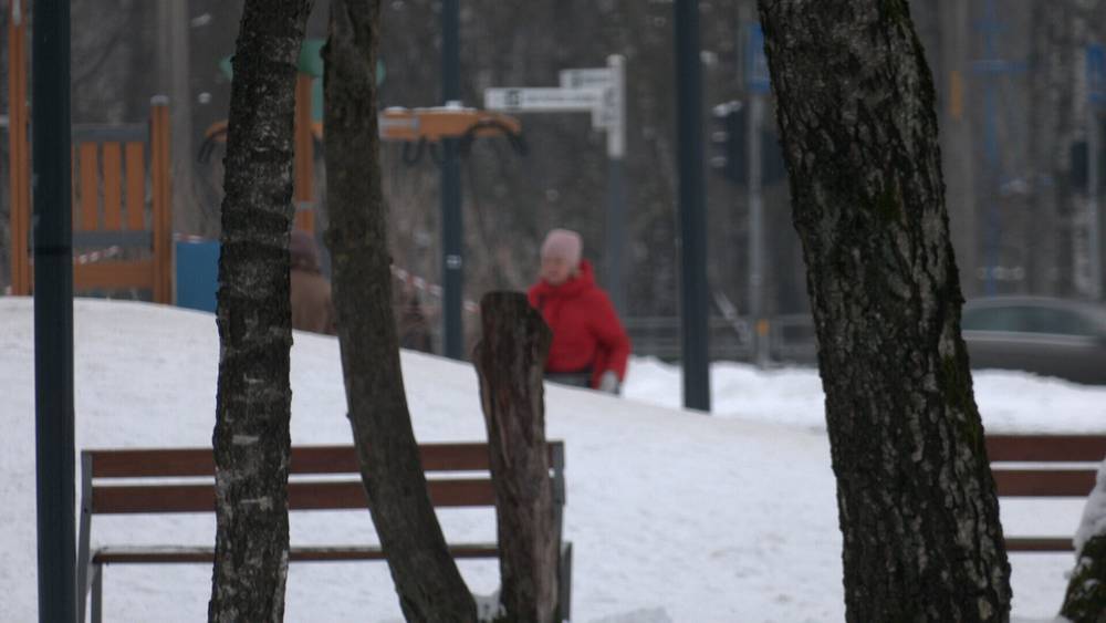 Задержан возможный совратитель детей в Плявниеки
