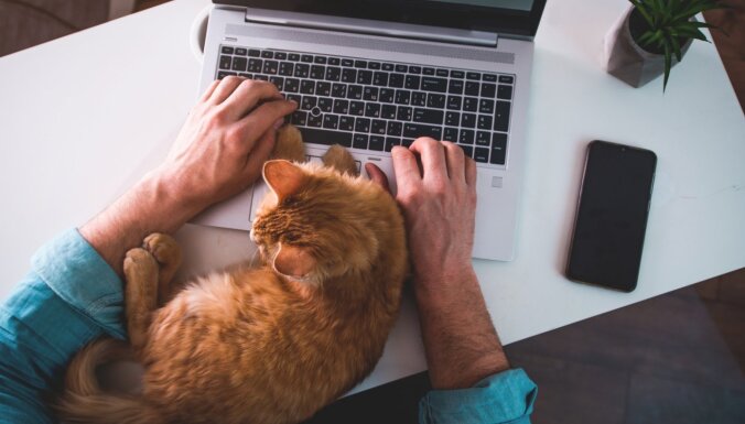 Только 38% работникам обеспечено все необходимое для удаленной работы