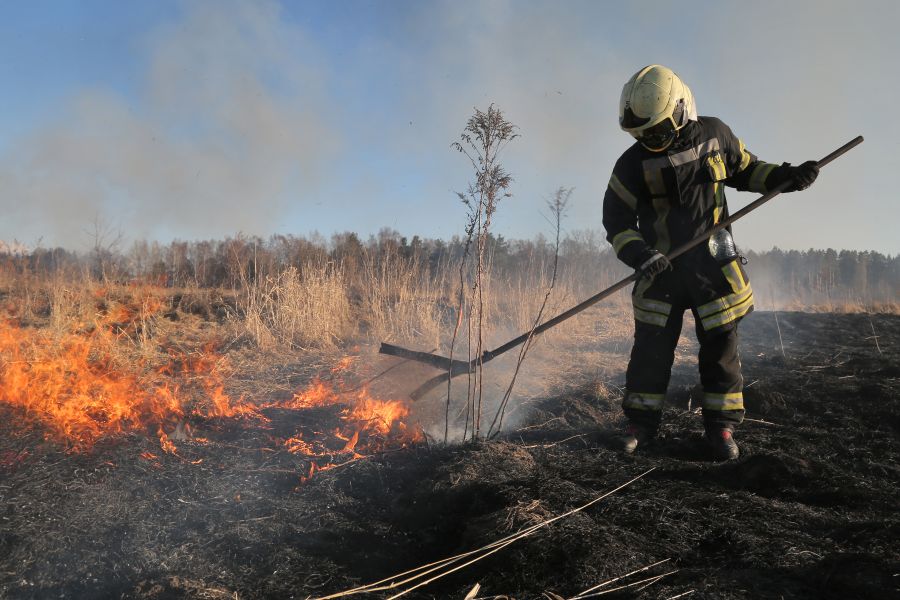 88 пожаров за сутки: в теплую погоду поджигатели травы стали активнее