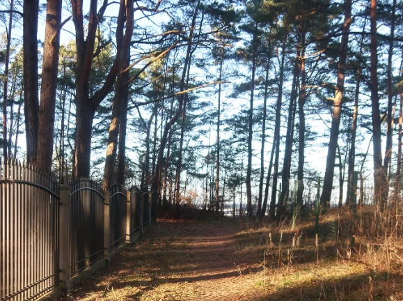 Во вторник в Латвии будет солнечно, ночью на дорогах гололед