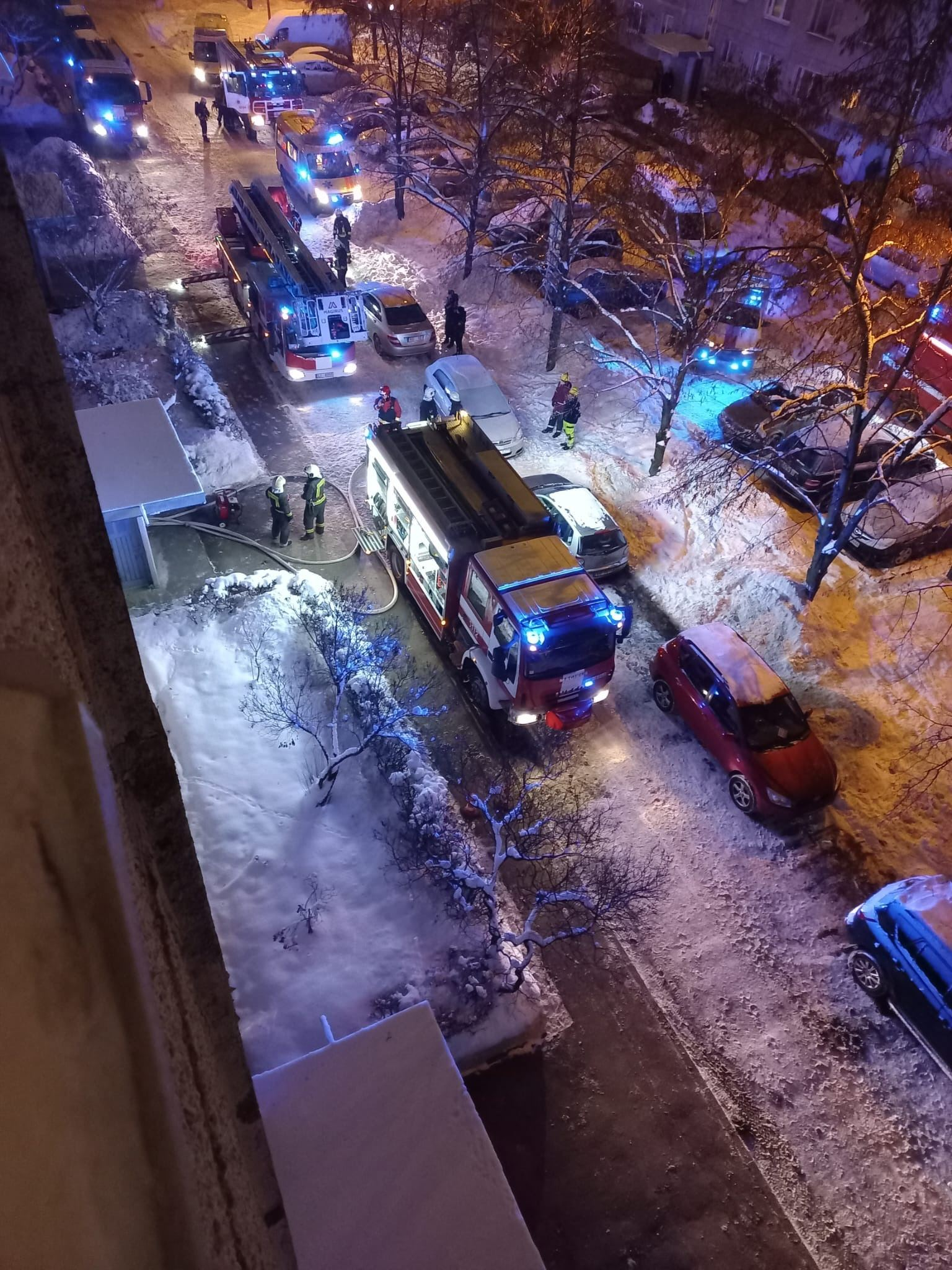 Пожар в Пурвциемсе. Человек погиб, но двух собак спасли