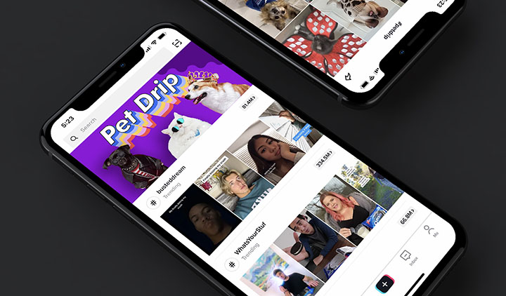 За просмотр TikTok предлагают зарплату в 2890 евро в месяц