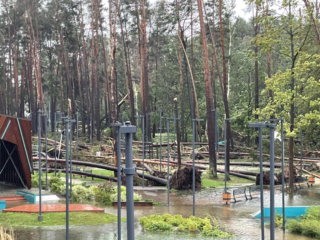 Буря нанесла большой урон парку в Каугури