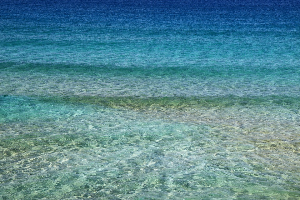 Температура воды сегодня от + 10 до +25    градусов