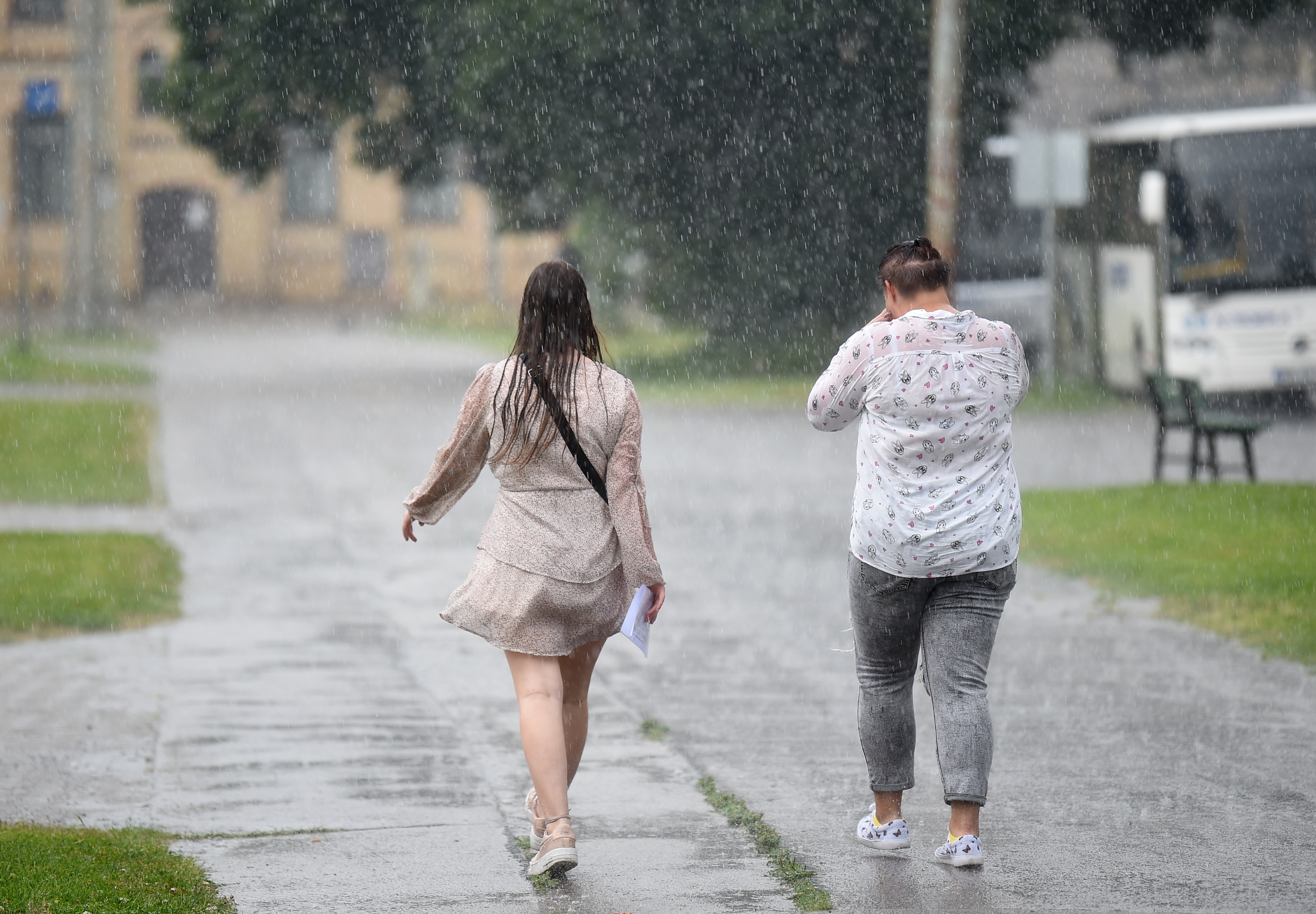 В ближайшие дни временами ожидаются дожди
