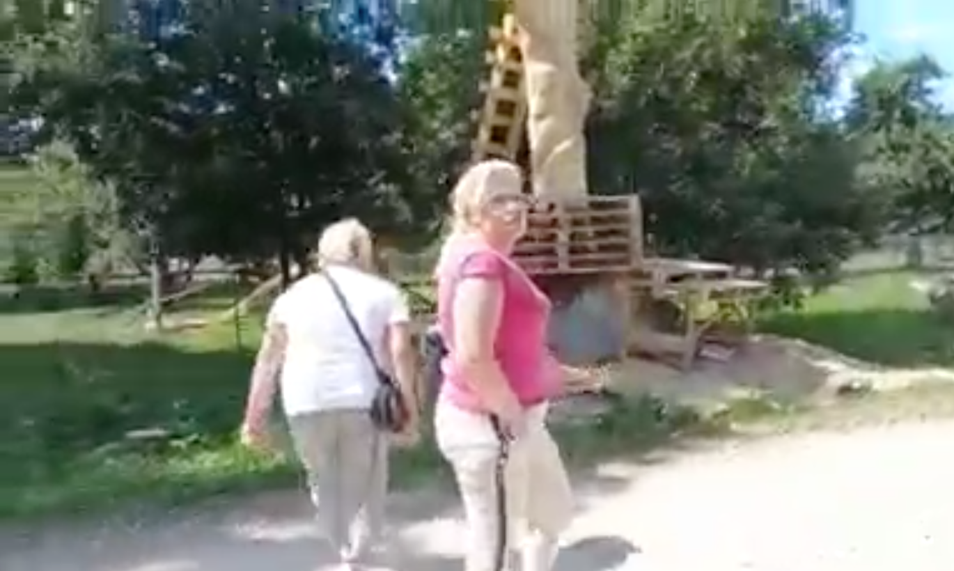 На руководителя приюта для животных напали: помогите опознать человека на видео