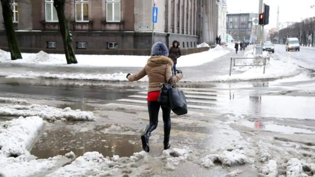Сегодня пасмурно. Ожидается дождь и туман