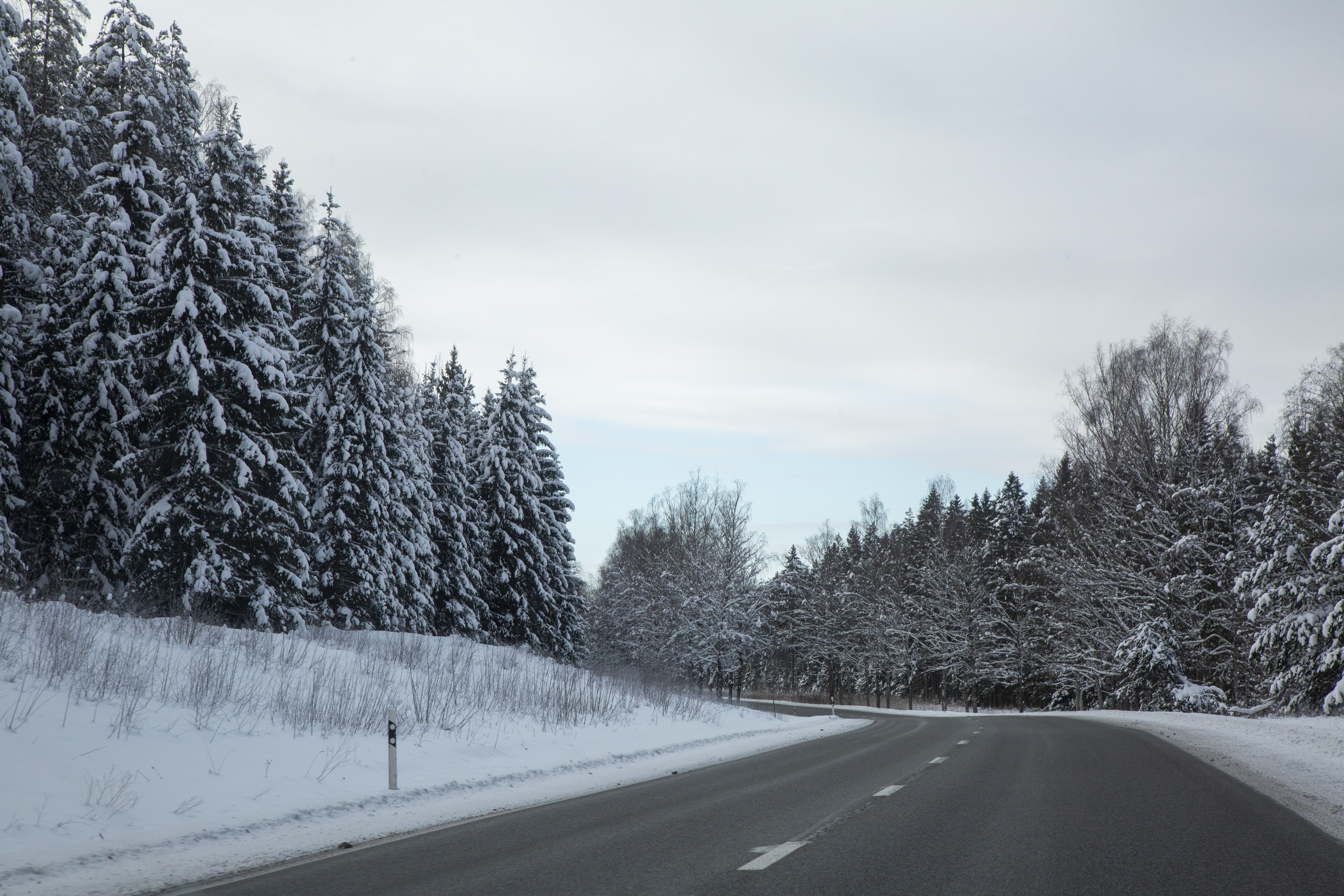 Šonedēļ brīžiem pastiprināsies sals; nedēļas beigās temperatūra var sasniegt +6 grādus