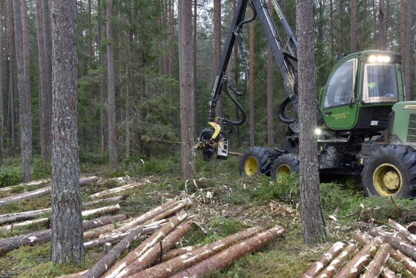 Завтра перед Кабмином состоится пикет против вырубки молодого леса