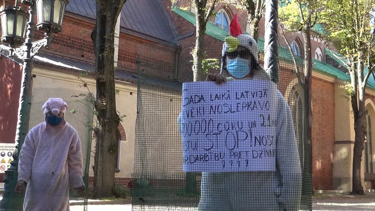У Сейма начался пикет за защиту животных
