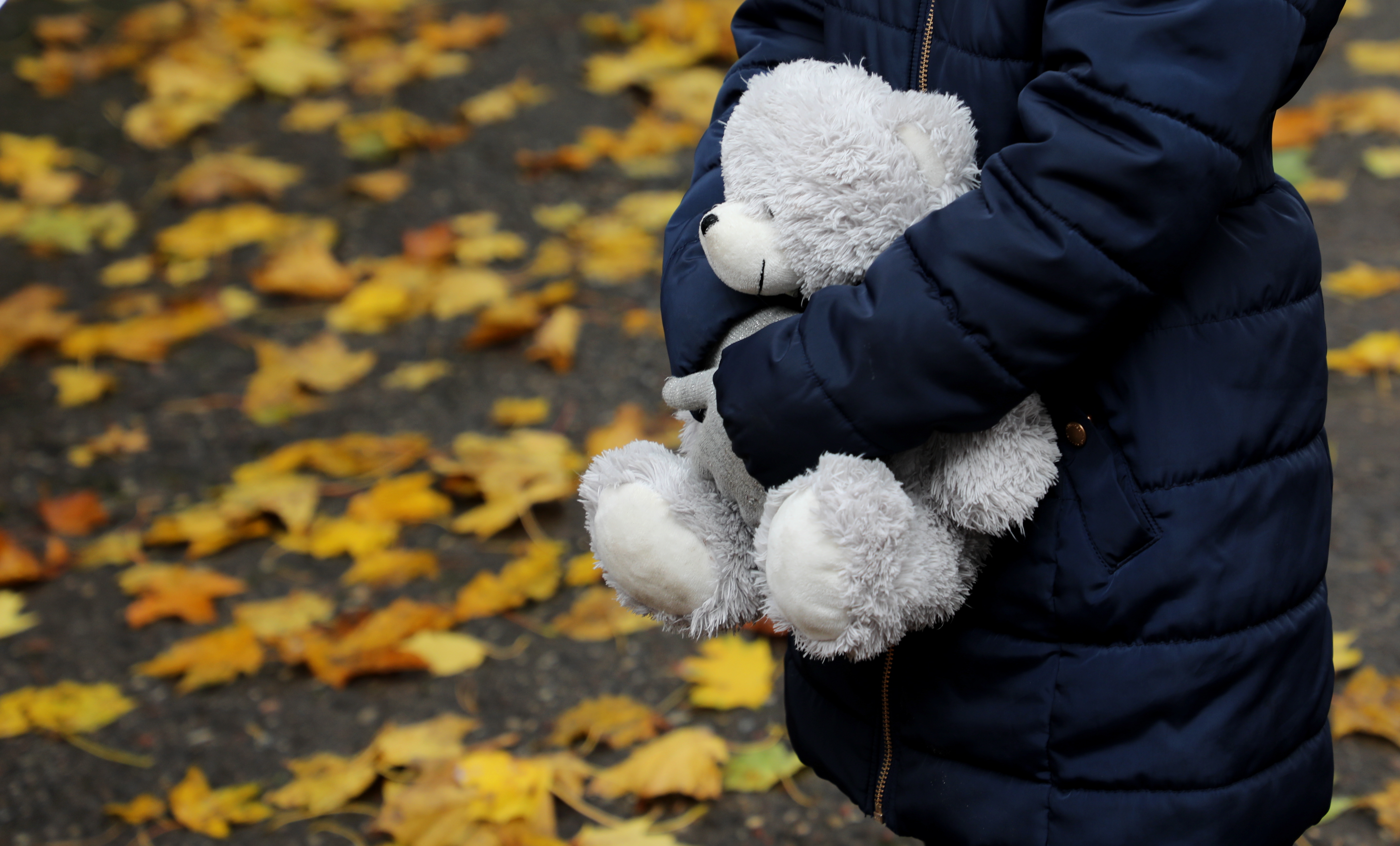 Trešdien Latvijā būs mitrs un silts laiks Trešdien Latvijā būs mitrs un silts laiks