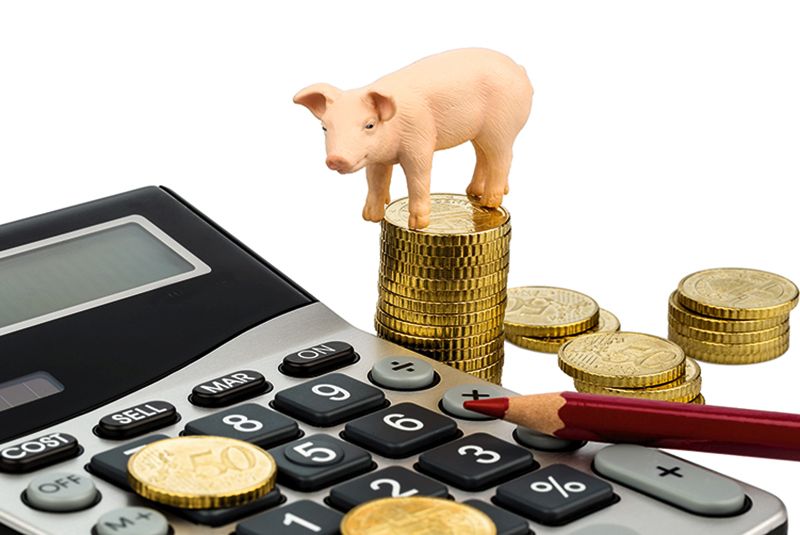 Как изменятся минимальная зарплата и налоги в 2026 году?