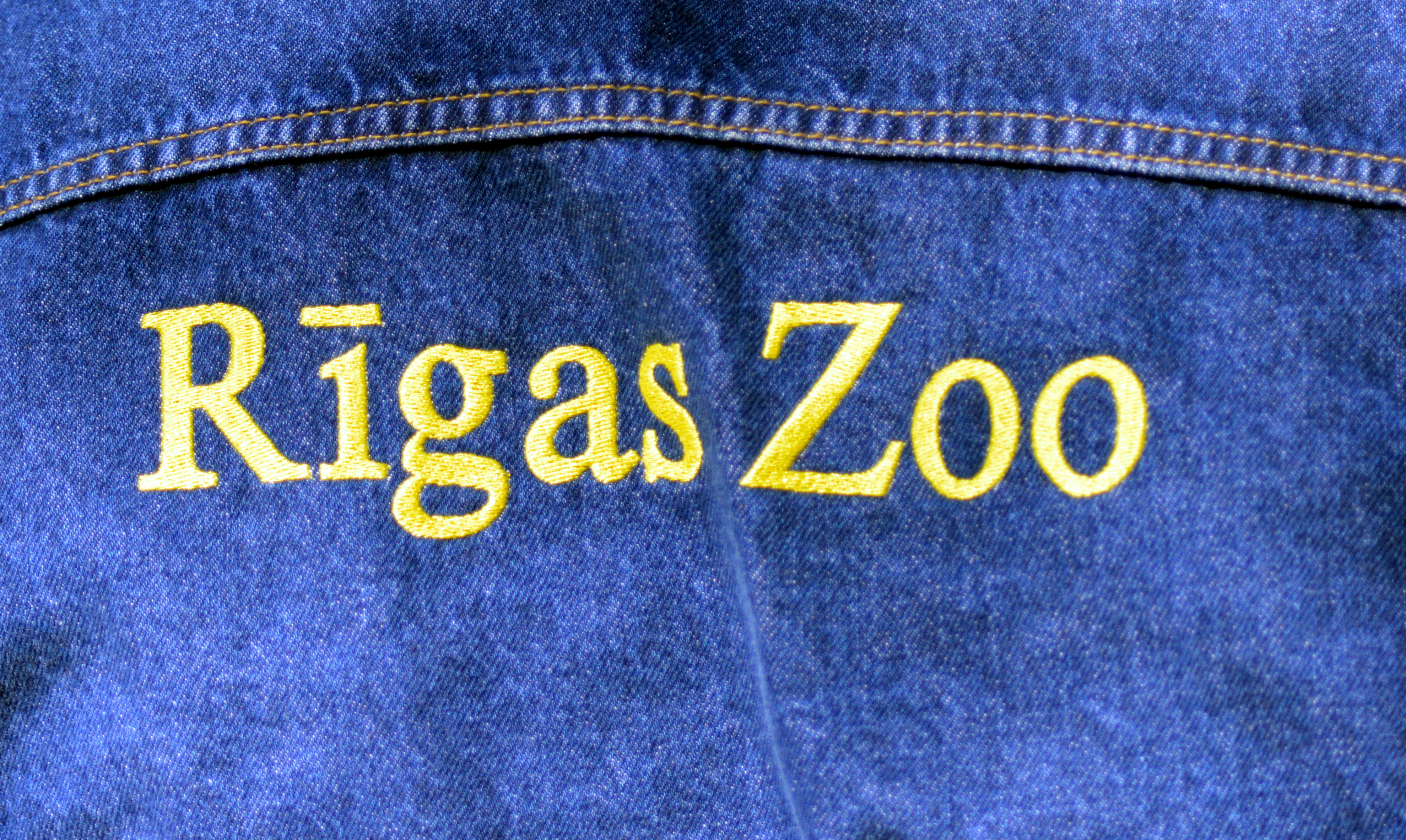 Rīgas Zooloģiskajā dārzā apskatāms Čapmana zebras mazulis