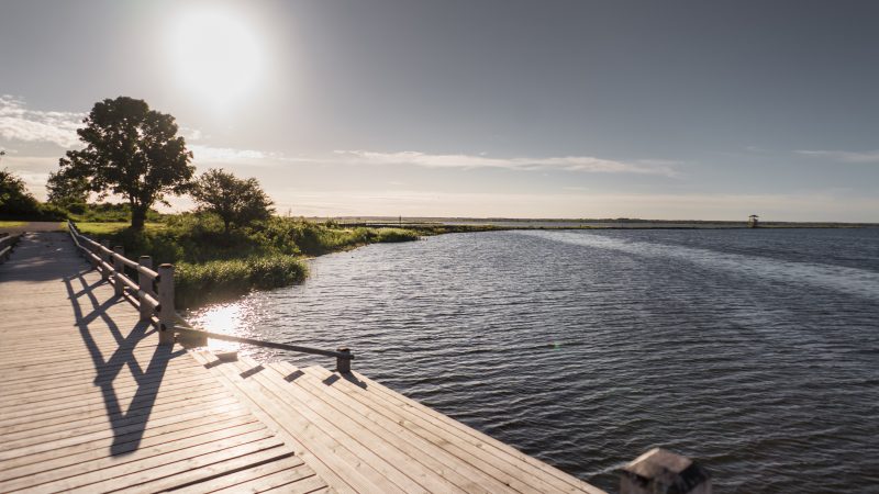 Температура воды в некоторых водоемах остается близкой к +20C