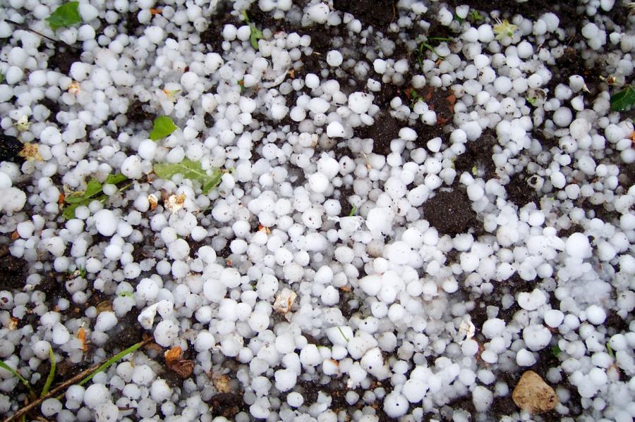 Сегодня - дожди, грозы и град Сегодня - дожди, грозы и град